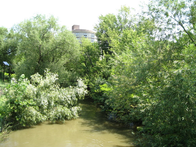 2007Aug11 030