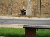 Roadside shrine.  Death site?