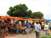 Farmer's market