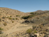 It's not all dead.  Dry river.