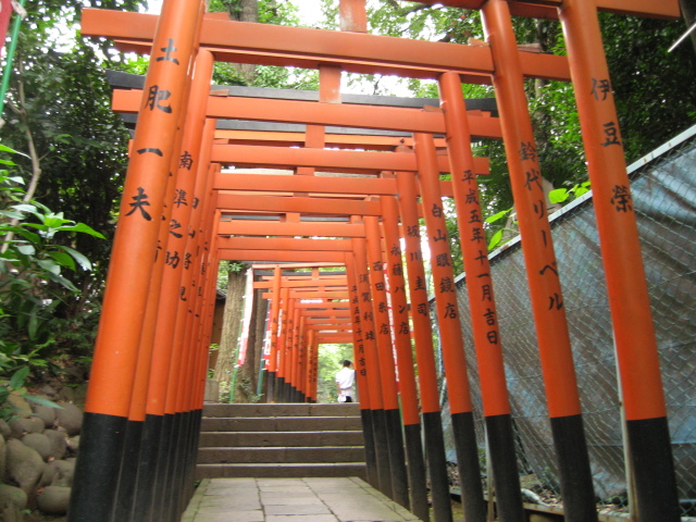 Inari? torii