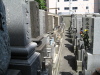 Buddhist cemetery.