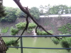 Palace, outer wall and moat.