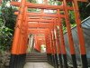Inari? torii
