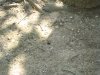 img_1676