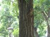 img_1691