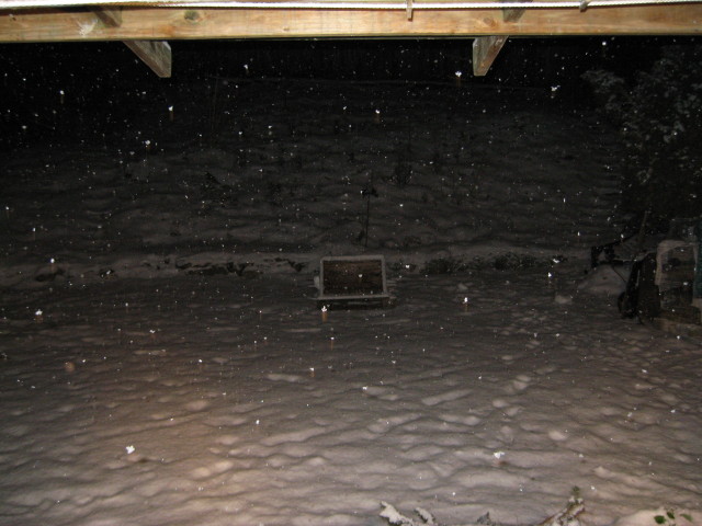 Backyard.  Either looks cool or like I got guano on the lens.