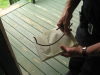 The piece of metal that destroyed my window